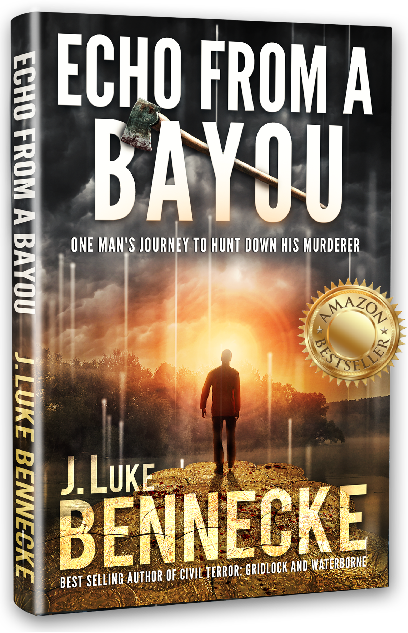 Cover image for Echo in a Bayou